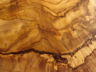 zeytin ağacının dokusu