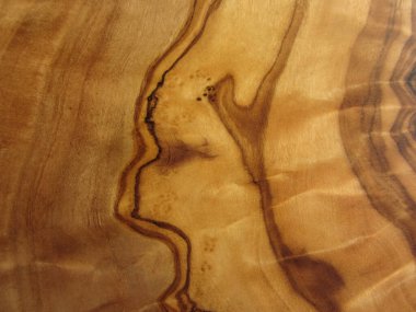 zeytin ağacının dokusu