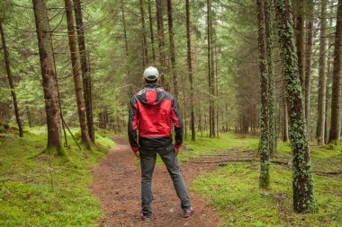 Bulutlu bir günde ormanda tek başına yürüyen bir yürüyüşçü.