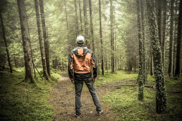 Randonneur Promène Seul Dans Forêt Par Une Journée Nuageuse — Photo