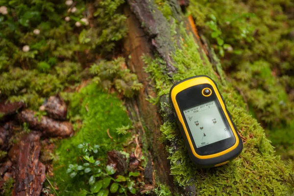 Trovare Giusta Posizione Nel Bosco Tramite Gps — Foto Stock