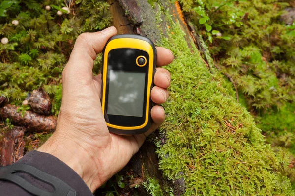 Gps Die Richtige Position Wald Finden — Stockfoto