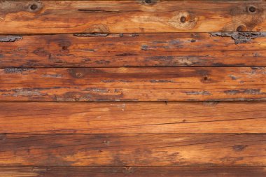 Arka plan olarak doğal çam ağacı panelleri