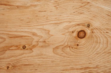 Arka plan olarak doğal çam ağacı panelleri