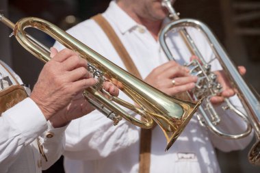 Val Isarco 'daki yerel bir sonbahar kutlamasında tipik kostümlü müzisyen. )