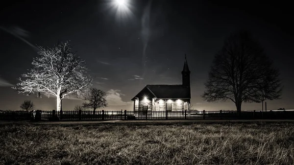 Tortum akışında orman