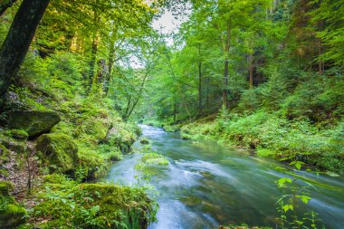 Kanyon manzarası ve yollar Kamnitz Gorge çek İsviçre