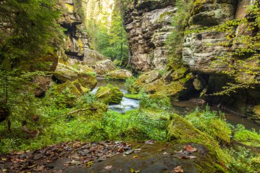Kanyon manzarası ve yollar Kamnitz Gorge çek İsviçre
