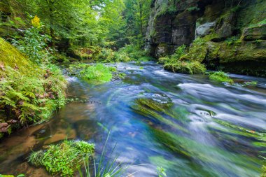 Kanyon manzarası ve yollar Kamnitz Gorge bohem İsviçre