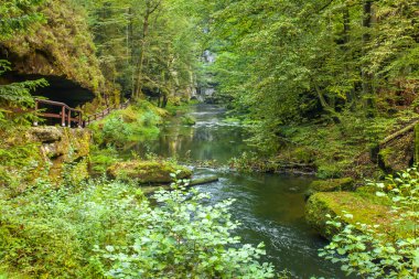 Kanyon manzarası ve yollar Kamnitz Gorge bohem İsviçre