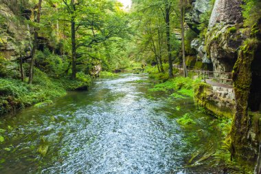 Kanyon manzarası ve yollar Kamnitz Gorge bohem İsviçre