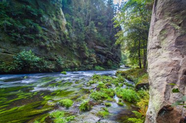 Kanyon manzarası ve yollar Kamnitz Gorge bohem İsviçre