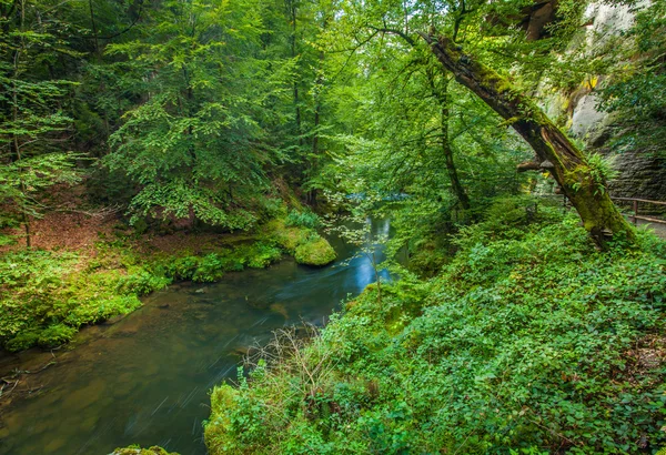 Canyon scenery and trails Kamnitz Gorge in the Czech Switzerland — Stock Photo, Image