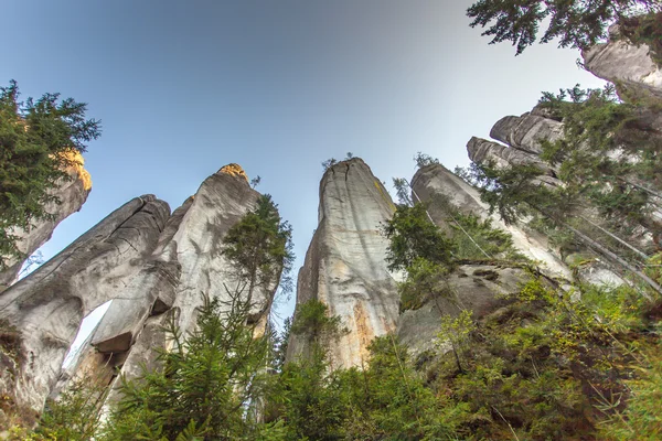 Milli Park Adrszpach-Teplice Rocktown — Stok fotoğraf