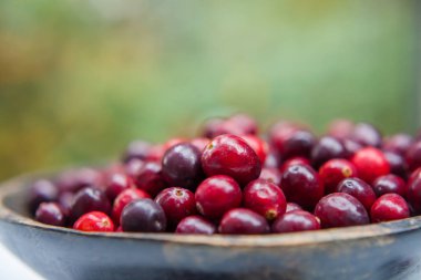 Ahşap kase taze kızılcık