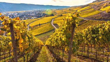 Autumn Colorful Moselle Landscape and clipart