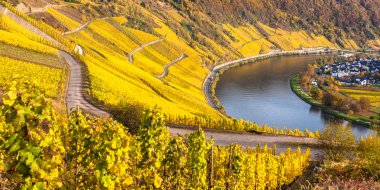 Sonbahar renkli Moselle Peyzaj ve üzüm bağları