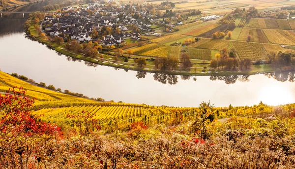 Herbst bunte Mosellandschaft und Weinberge — Stockfoto