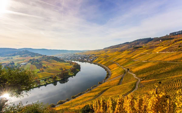 Sonbahar renkli Moselle Peyzaj ve — Stok fotoğraf