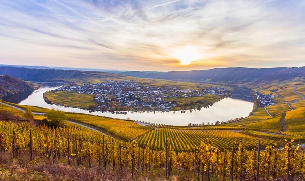 Piesport Moselschleife paisaje en colores brillantes de otoño —  Fotos de Stock