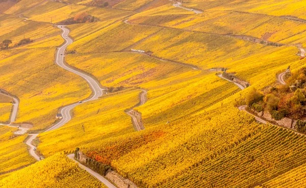 Detailansicht der herbstlich bunten Moselweinberge — Stockfoto