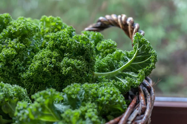 Kale, gün ışığından yararlanma üzerinde rustik sepet yakın çekim
