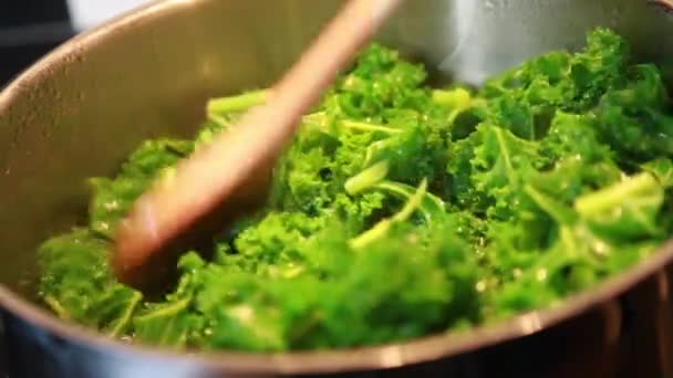 Cozinhar couve em panela no fogão — Vídeo de Stock