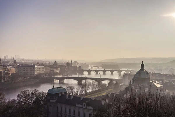 在金色暮霭布拉格旅游布拉格镇和河维塔瓦河 — 图库照片