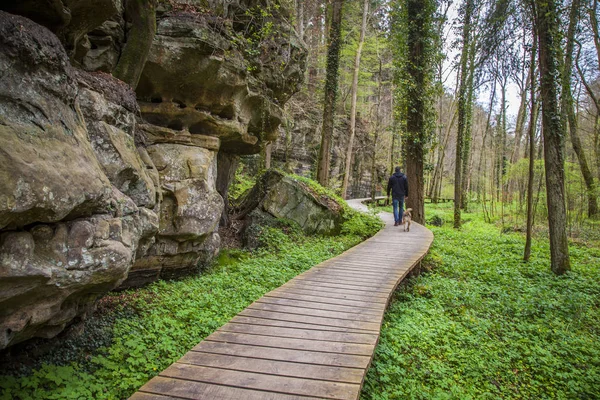 Mullerthal Trail Paesaggio Petit Luxembourg Suisse Echternach — Foto Stock