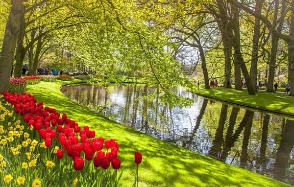 Keukemhof Romantic Blooming Gardens Paisaje Lisse Holland — Foto de Stock