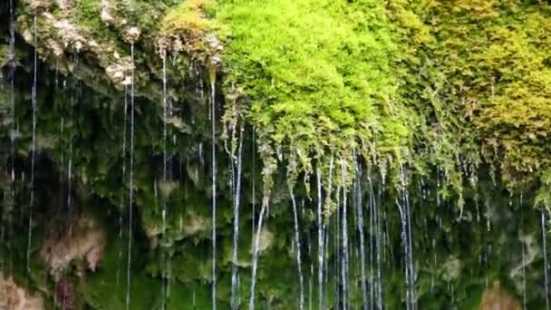 Marscherwald höjdpunkter i den Mullerthal vandring petit suisse Luxemburg — Stockvideo