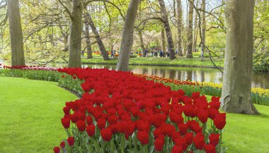Keukemhof romantik çiçek bahçeleri peyzaj Holland