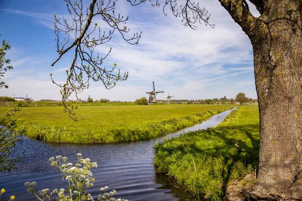Holland Kinderdijk wiatraki pieszej szlak krajobraz krajobraz — Zdjęcie stockowe