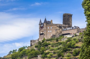 Kale Katz manzara Rhine Almanya 