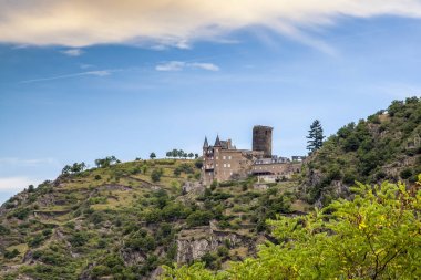 Kale Katz manzara Rhine Almanya 