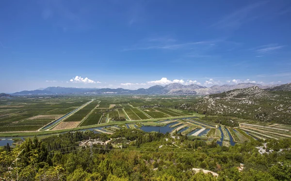 Tarım meyve bahçeleri ve river delta neretva Croa alanları
