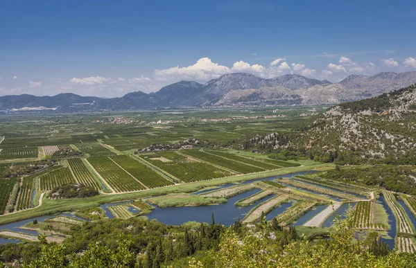 Tarım meyve bahçeleri ve river delta neretva Croa alanları