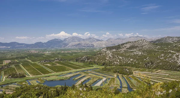 Tarım meyve bahçeleri ve river delta neretva Croa alanları