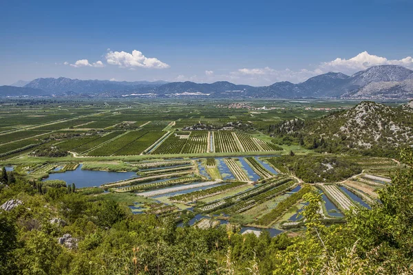 Tarım meyve bahçeleri ve river delta neretva Croa alanları