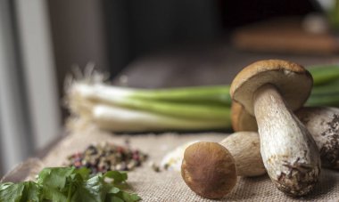 Windows ışık Porcini mantar ve Cook malzemeler 