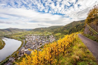 Sonbahar Moselle manzaraya Bremm Calmont bölge Almanya 