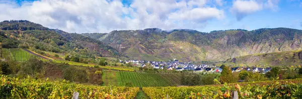 Autumn Moselle vinyards  Landscape and the village Bremm Germany — Stock Photo, Image