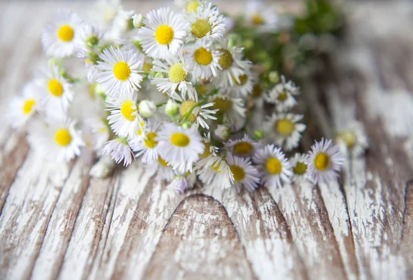 Daisies bouquet  on  rustic wooden  Background — Stock Photo, Image