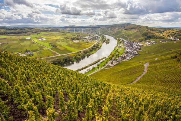 Sendero Paisaje en el Mosela cerca de Uerzig en otoño — Foto de Stock