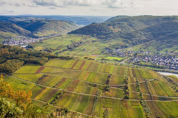 Otoño Moselle paisaje en Bremm Calmont región Alemania — Foto de Stock