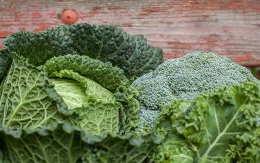 farklı yeşil lahana üzerinde gün ışığı açık