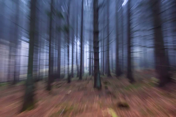 Mistige herfst boslandschap abstracte vervagen beweging — Stockfoto