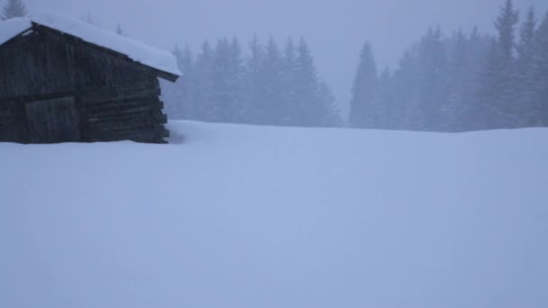 Inverno Mau Tempo Nevasca Nas Montanhas Wintry Paisagem Fundo — Vídeo de Stock