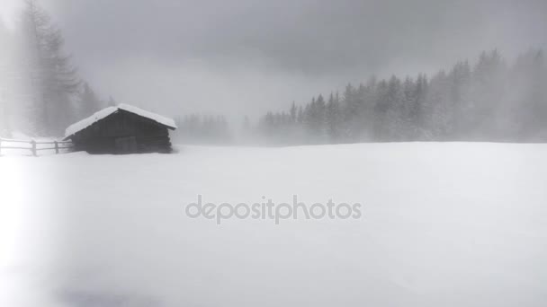 霧の曇南チロルの雪風景悲観的な冬の天候が暗くなります — ストック動画