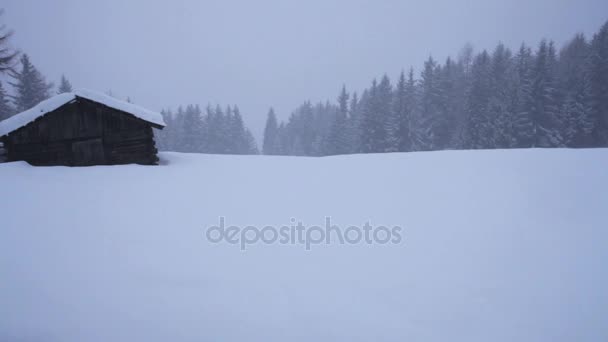 Nube Niebla Oscurece Paisaje Nevado Sombrío Clima Invernal Sur Del — Vídeo de stock